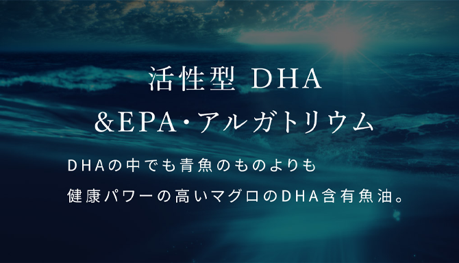 活性化DHA(アルガトリウム) マグロから取れた魚油を濃縮し、DHAの中でも青背の魚のDHAよりも抗酸化能力の高いものを指します。