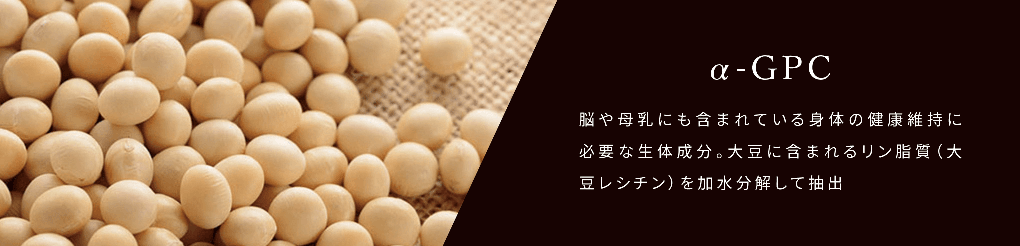 α-GPC 母乳に含まれており、体の成長と生命活動に必要な成長ホルモンに関わる整体成分です。大豆に含まれるリン脂質(大豆レシチン)から抽出されます。